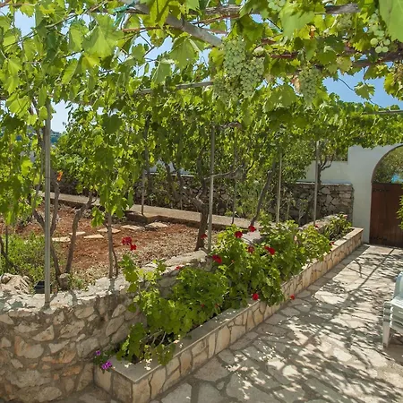 Holiday home Neda-three Bedroom With Terrace And Sea View Vela Luka